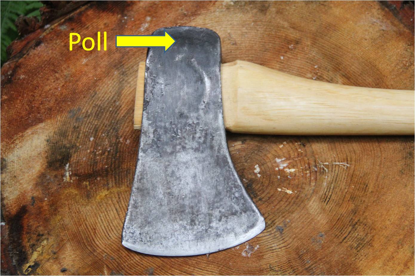 Choice of best wood for axe handle